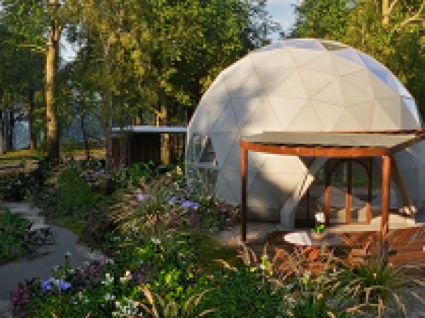 Back-to-Basics Academy